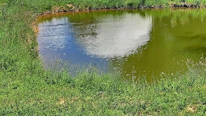 Teren amenajat cu casa de vacanta, lac, foișoare si pontoane la baza pădurii. - imagine 10