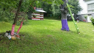 Casa de vacanta BREAZA de SUS, judetul Prahova, 4000mp la liziera padurii - imagine 8