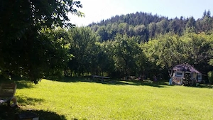 Casa de vacanta BREAZA de SUS, judetul Prahova, 4000mp la liziera padurii - imagine 4