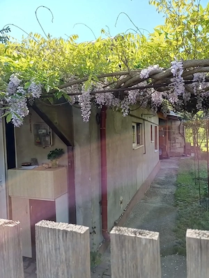 Casă de vânzare zona Între Lacuri - imagine 4