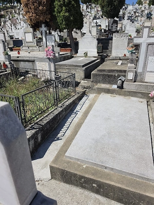 Cavou de vânzare 
