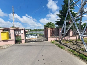 Vilă cu 5 camere, 280 mp, livadă pe rod, zona Valea Voievozilor - imagine 13