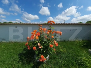 Vilă cu 5 camere, 280 mp, livadă pe rod, zona Valea Voievozilor - imagine 10