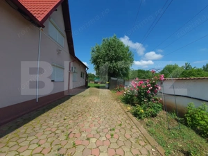 Vilă cu 5 camere, 280 mp, livadă pe rod, zona Valea Voievozilor - imagine 3