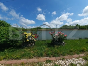 Vilă cu 5 camere, 280 mp, livadă pe rod, zona Valea Voievozilor - imagine 12