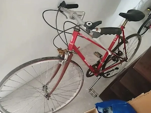 vanzare bicicly