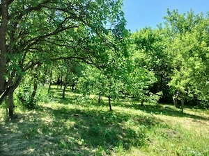 De vanzare casa cu anexe si gradina 2418 m.p la 30 km distanta de Cluj Napoca - imagine 4