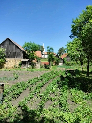 De vanzare casa cu anexe si gradina 2418 m.p la 30 km distanta de Cluj Napoca - imagine 5