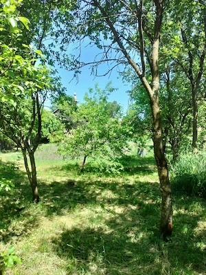 De vanzare casa cu anexe si gradina 2418 m.p la 30 km distanta de Cluj Napoca - imagine 6
