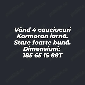 Cauciucuri Kormoran Iarnă 