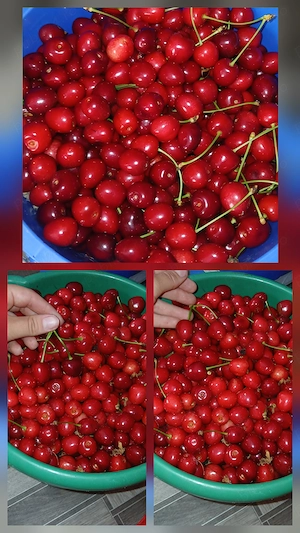 Cireșe de vânzare!!