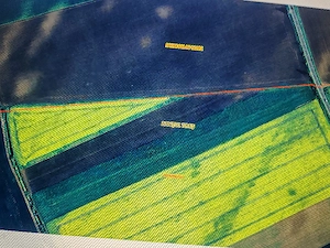 Teren agricol 5 hectare