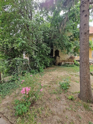 Studio + Curte 41 mp | Parter | Zona Bălcescu | Investiție - imagine 4