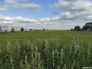 Vanzare Teren intravilan 5000MP Magurele  Atomistilor - imagine 5