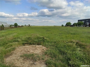 Vanzare Teren intravilan 5000MP Magurele  Atomistilor - imagine 4