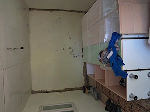Vând casa cu 5camere în sat cîrja vaslui, teren 1900mp, apa trasa,curent, casa trebuie renovată,  - imagine 13