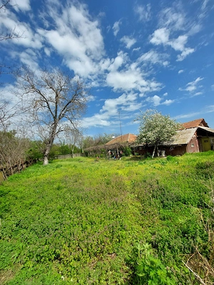 Casa cu teren 1280mp in Merii Petchii, Ilfov- oaza de liniste! - imagine 4