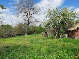 Casa cu teren 1280mp in Merii Petchii, Ilfov- oaza de liniste! - imagine 2