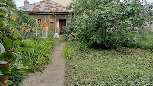 Casă de vânzare cartier 23 August (Republica) - imagine 5