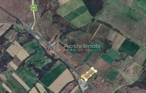 Lugoj, Teren 16.800 Mp., Cu deschidere  de 80 Ml., La Centura Ocolitoare - imagine 7