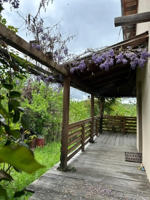 Casă renovată premium, Drajna de Sus, Prahova 3029 mp - imagine 2