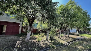 Casa mare și frumoasă, cu grădină și pomi fructiferi, in satul Pescari, jud. Arad - imagine 2