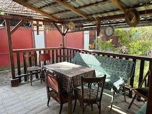 Casa mare și frumoasă, cu grădină și pomi fructiferi, in satul Pescari, jud. Arad - imagine 8