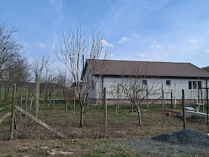 Vând micro-fermă 9 Ha comuna Peștera, județul Constanța  - imagine 5