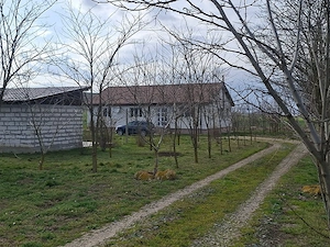 Vând micro-fermă 9 Ha comuna Peștera, județul Constanța  - imagine 4