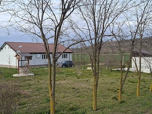 Vând micro-fermă 9 Ha comuna Peștera, județul Constanța  - imagine 3