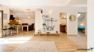 Vila cu dubla valoare, 606mp teren, terase: Resedinta si sau Business Premium, Tractorul, Brasov - imagine 11