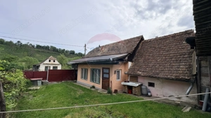 Casă Rustică in Richis, zona buna, grădina cu panorama - imagine 4