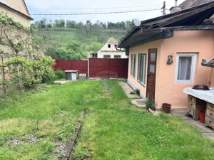 Casă Rustică in Richis, zona buna, grădina cu panorama - imagine 6