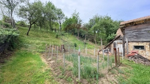 Casă Rustică in Richis, zona buna, grădina cu panorama - imagine 7