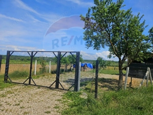 Teren 4.135 mp de vânzare în Sărăsău – oportunitate pentru investiție - imagine 3
