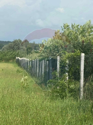 Teren 4.135 mp de vânzare în Sărăsău – oportunitate pentru investiție - imagine 4