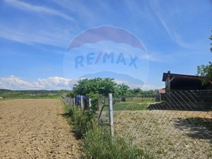Teren 4.135 mp de vânzare în Sărăsău – oportunitate pentru investiție - imagine 8