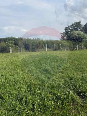 Teren 4.135 mp de vânzare în Sărăsău – oportunitate pentru investiție - imagine 7