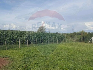 Teren 4.135 mp de vânzare în Sărăsău – oportunitate pentru investiție - imagine 2