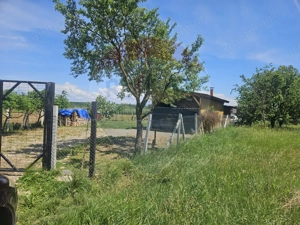 Teren 4.135 mp de vânzare în Sărăsău – oportunitate pentru investiție - imagine 9