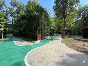 OCAZIE RARĂ - Teren cu cabană de vânzare lângă Lacurile Naturale - Ocna Sibiului - imagine 16