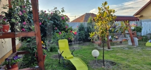 Casa primitoare pe parter, 456 mp teren, zona Facai - imagine 3
