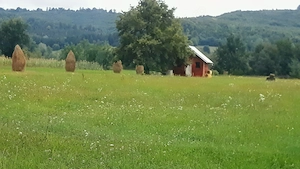 Teren +cabană Munte 