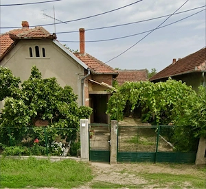 Casă cu teren 2.900 mp și posibilitate dezmembrare   Găvojdia, Timiș
