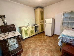 Proprietar   casă locuibilă, teren 2.868 mp, Găvojdia, jud. Timiş - imagine 7