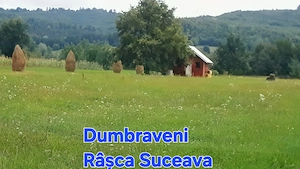 Teren +cabană Munte 