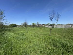 Teren Premium 2775mp Olteni – Utilități complete, la asfalt, potential ridicat - imagine 2