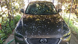 Mazda CX-3 SkyactiveG, 150 cp, 4x4 automata, Revolution Top, 58.000 km, 2018 - imagine 4