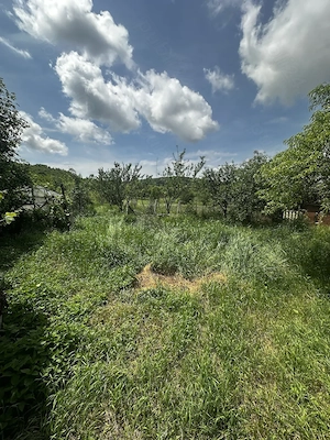Casa de vanzare si teren 2200 mp, loc. Nires - imagine 11