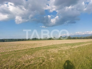 Teren extravilan 16500 mp front 47 m acces auto zona aerodrom Cisnadie - imagine 3